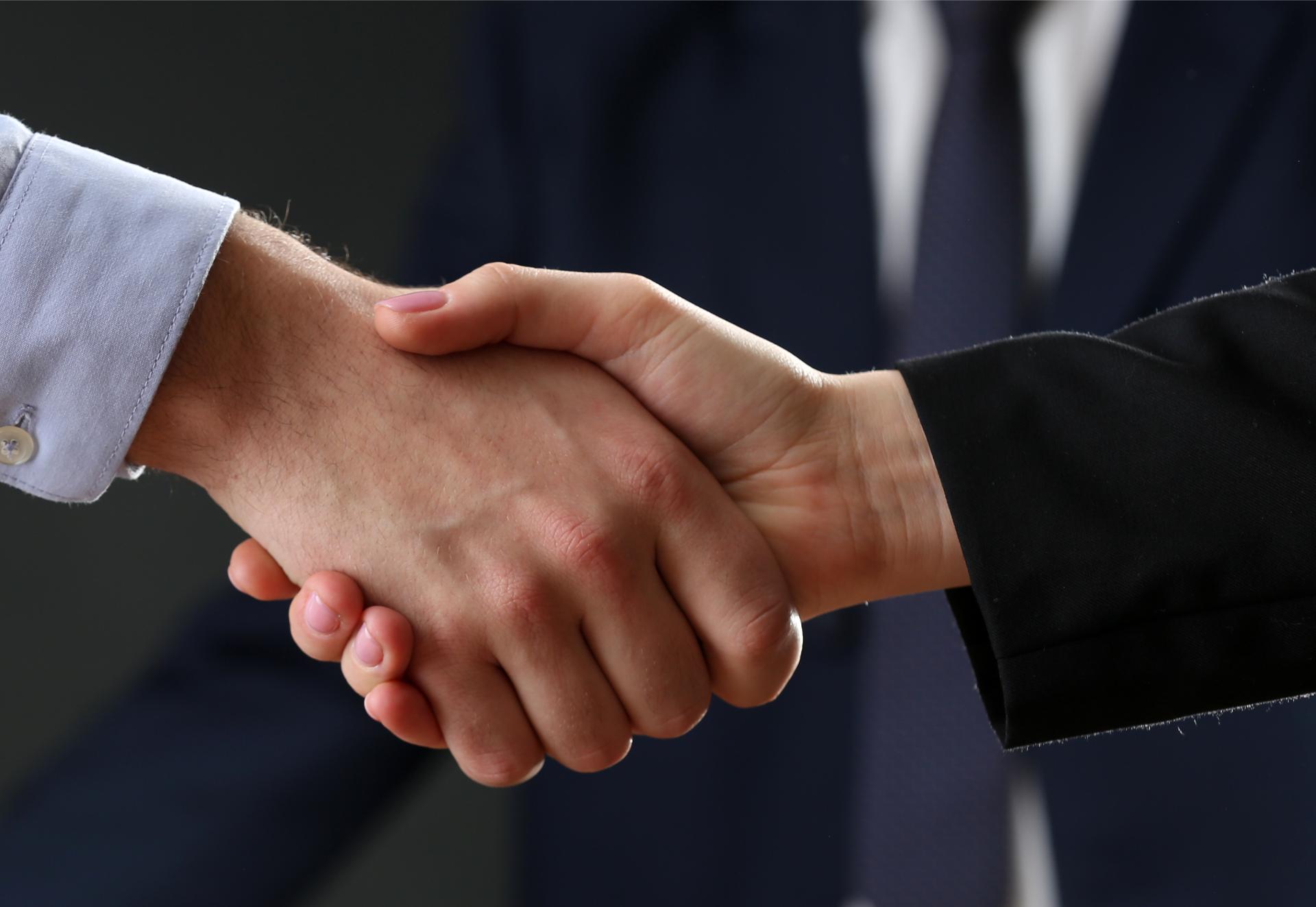 Servicios gestion cae garantias