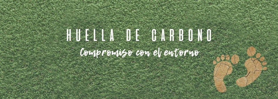 Huella de Carbono: Solvent comprometida con el entorno - Ingeniería Solvent