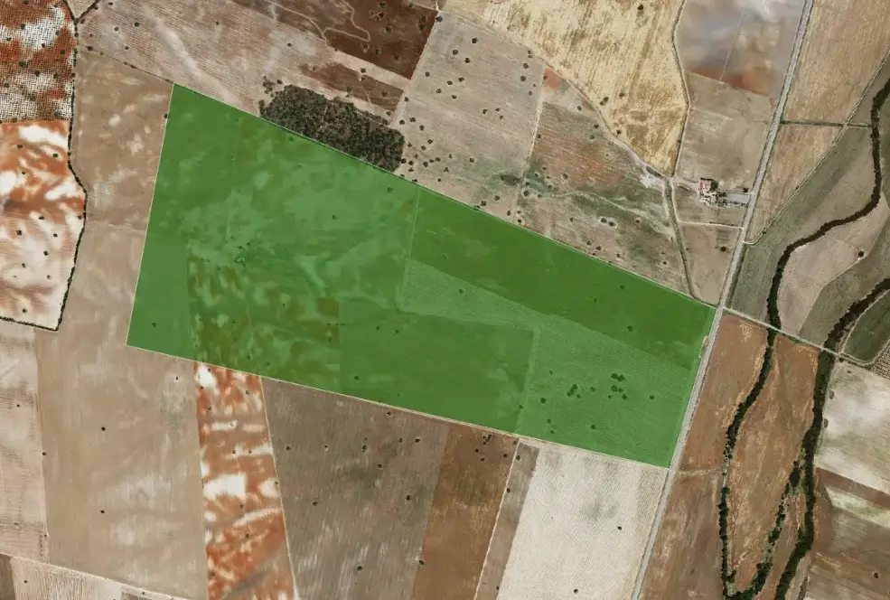 Instalación solar fotovoltaica de 50 MW en Alvarado