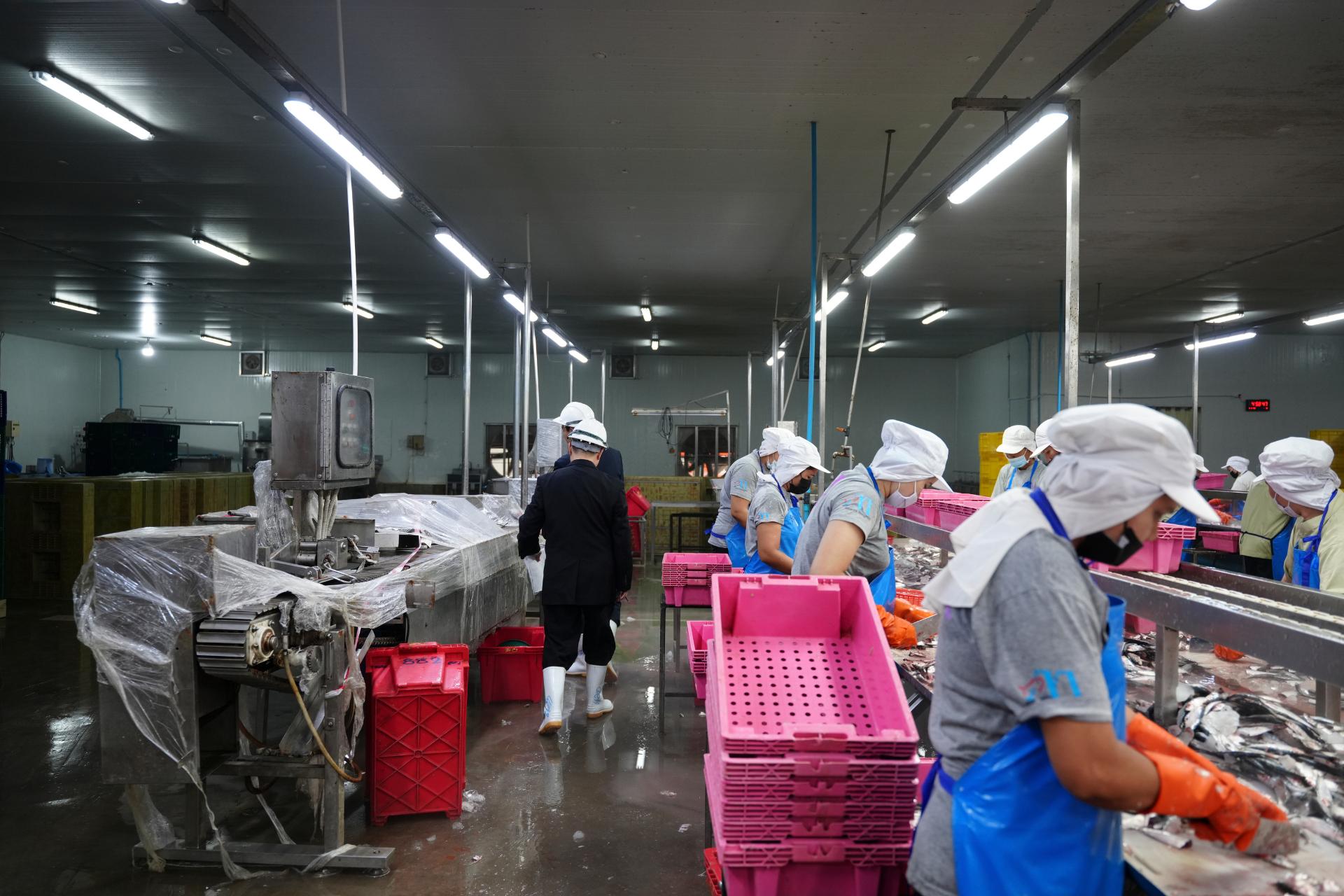 Servicios gestion cae actuaciones procesos industriales