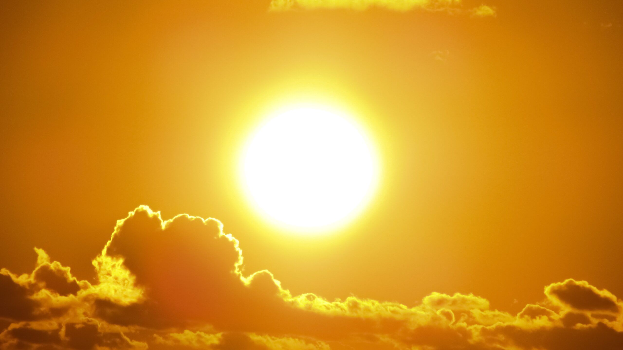 El sol, el gran aliado de Semilleros Jimenado, le ahorrará casi 21.000 euros en un año